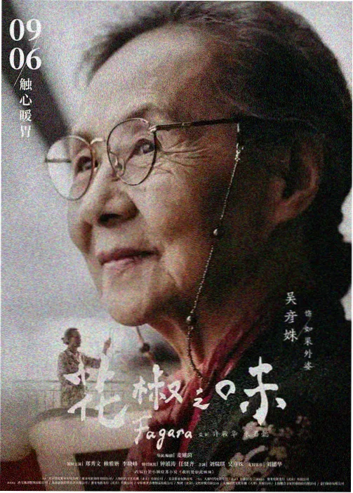 间谍过家家 第二季 日本在线观看